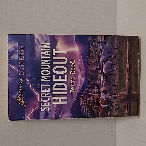 Lot of 10 Love Inspired Suspense Inspirational Romance Paperback Books - Picture 7 of 16